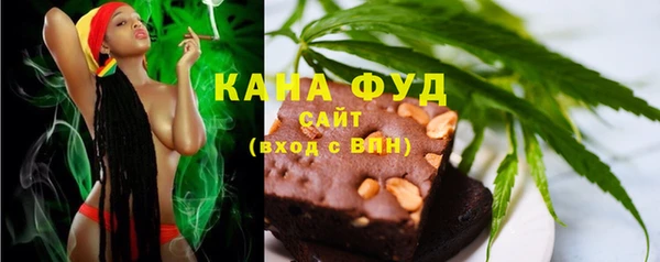 шишки Магас