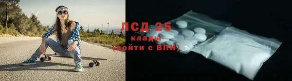 ГАЛЛЮЦИНОГЕННЫЕ ГРИБЫ Абинск