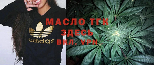шишки Магас